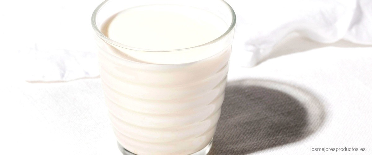 ¿Qué tipo de leche se puede tomar durante el embarazo?