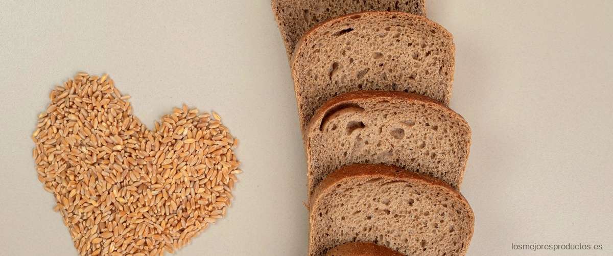 ¿Qué tipo de pan puedo comer que no contenga gluten?