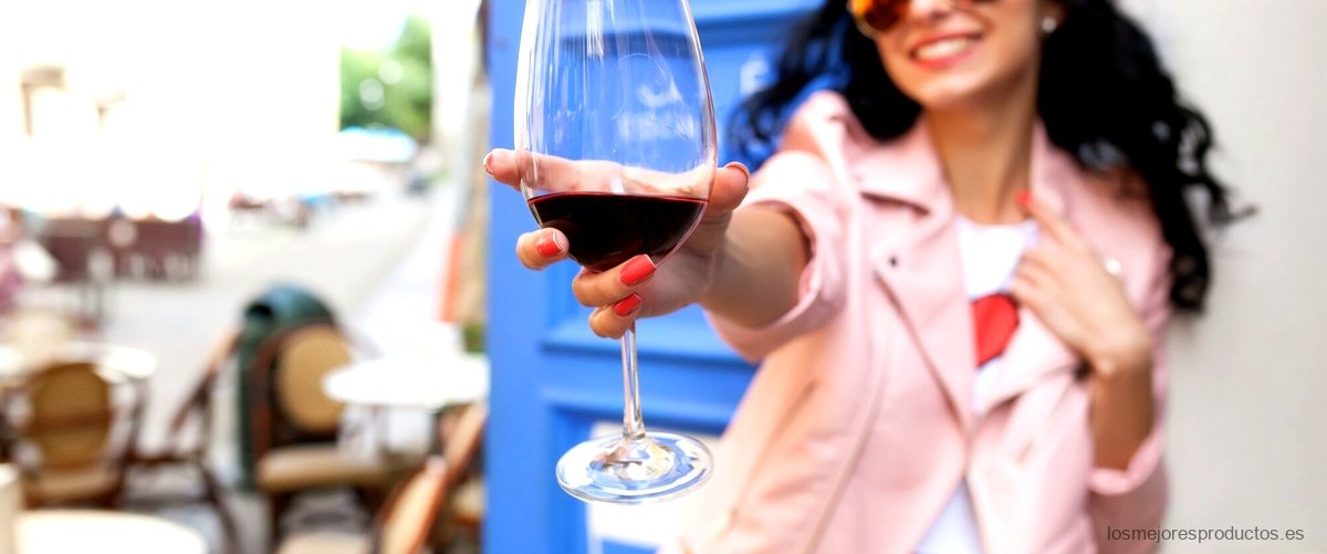 ¿Qué tipo de vino tinto es ideal para el verano?