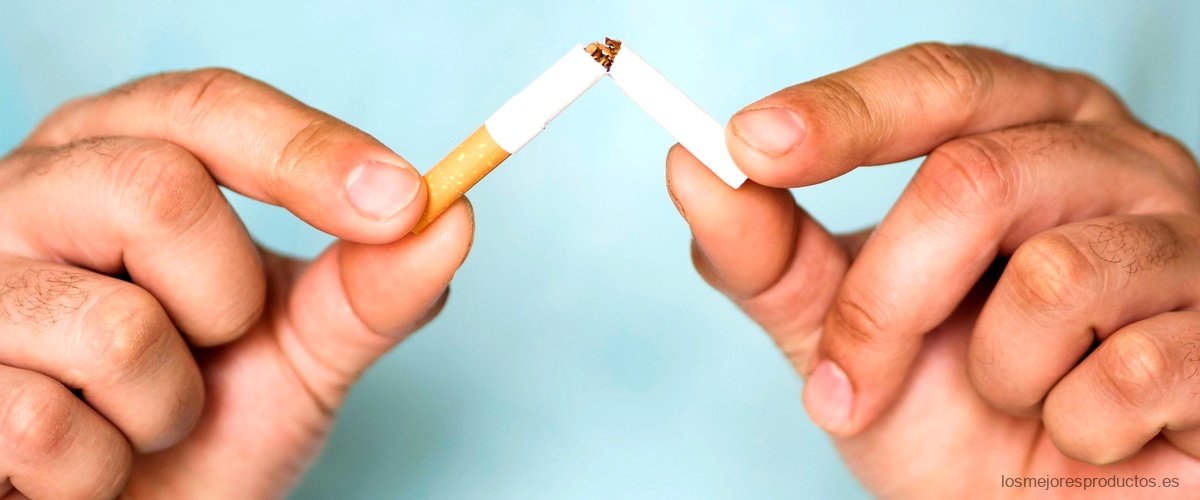 ¿Qué tipos de tabaco para liar existen?
