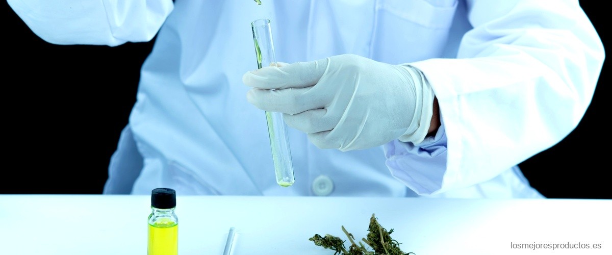 ¿Qué usos medicinales tiene el cannabis?