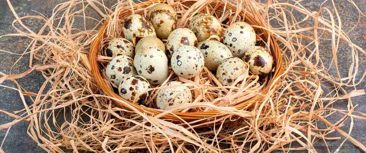 ¿Quién incuba los huevos de perdiz?