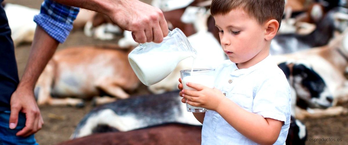 ¿Quién produce la leche de Covirán?