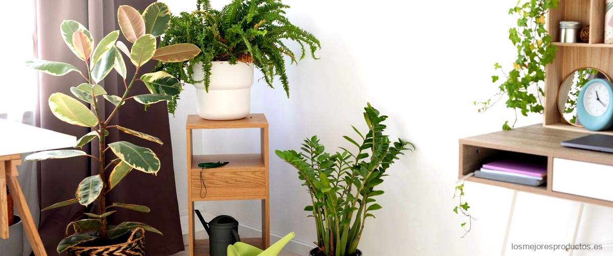 Renueva tu espacio con la estantería para plantas de Lidl: funcionalidad y estilo en uno