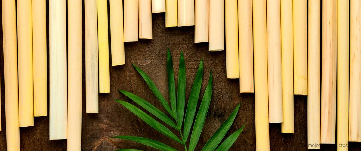 Renueva tu hogar con las encantadoras cortinas de caña de bambú