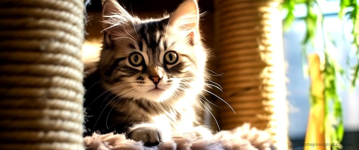 Rodillo anti escape para gatos: ¿Cómo funciona y dónde comprarlo?