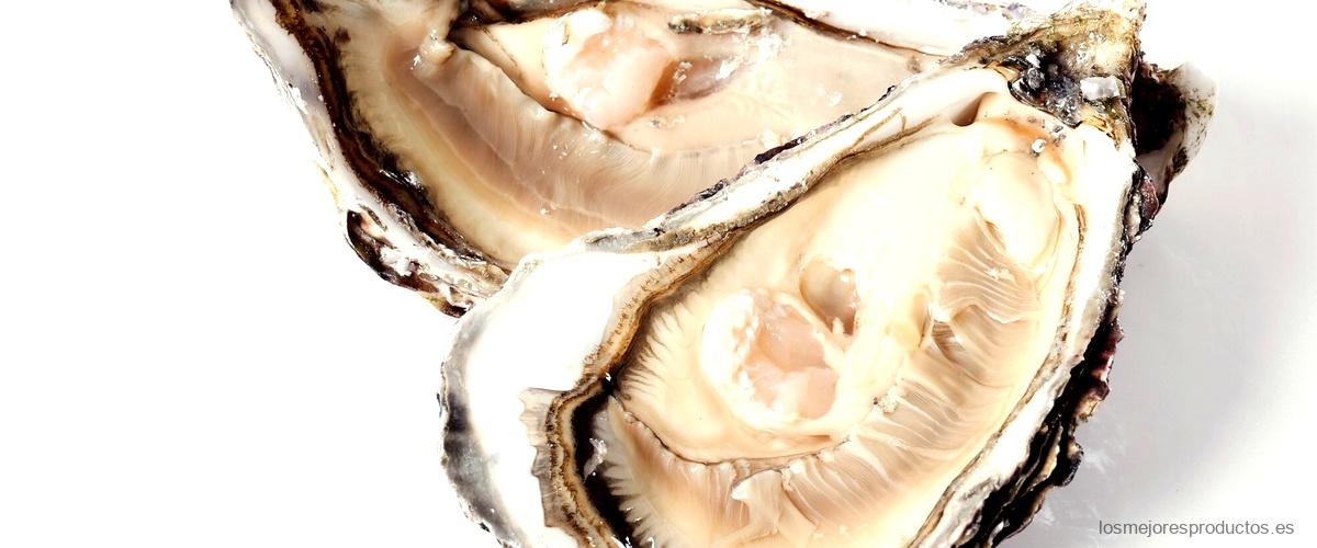 Salsa de ostras hipercor: El toque secreto para tus recetas