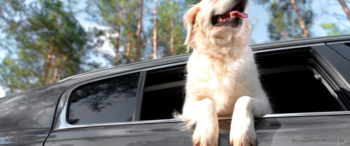 Separador de perros para asientos traseros: viaja con tu mascota sin preocupaciones