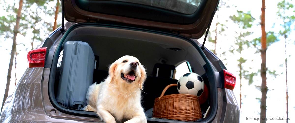 Separador de perros para coche: seguridad y confort para tu mascota