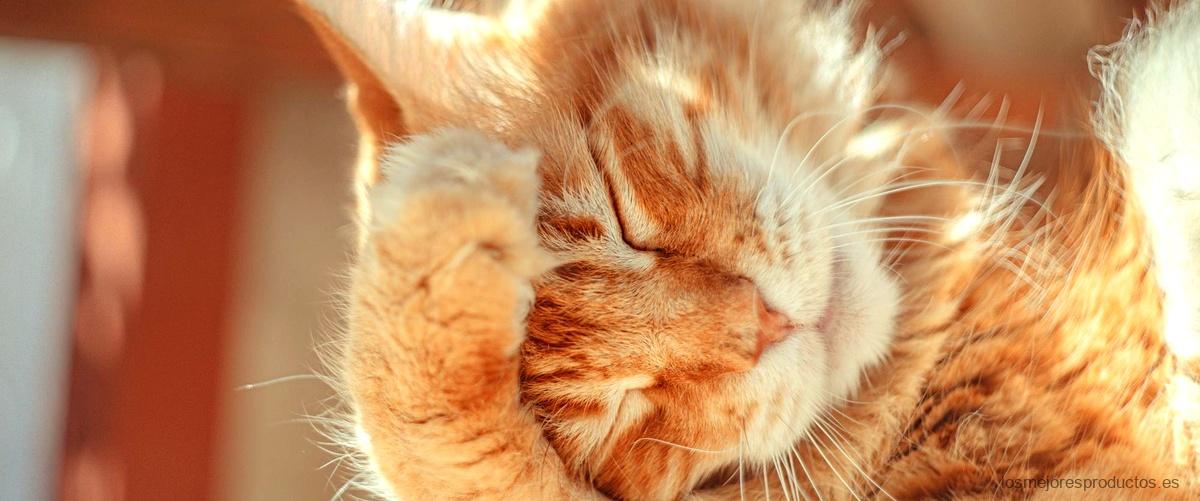 Smilla Gatos: una opción nutritiva y deliciosa para tu mascota