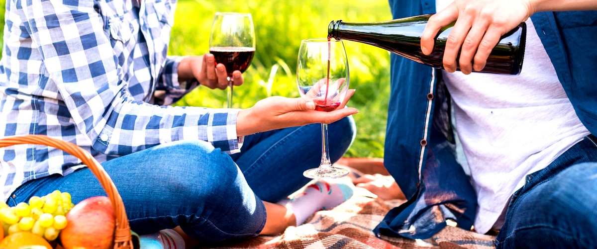 Solar de Samaniego Reserva 2015 Rioja: un vino excepcional