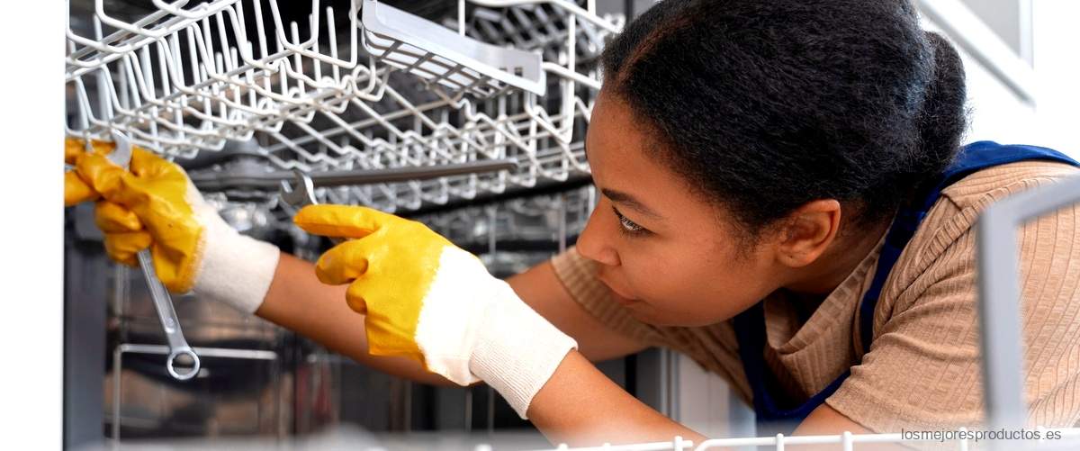 Solución fácil y efectiva: Reparador de rejillas para lavavajillas