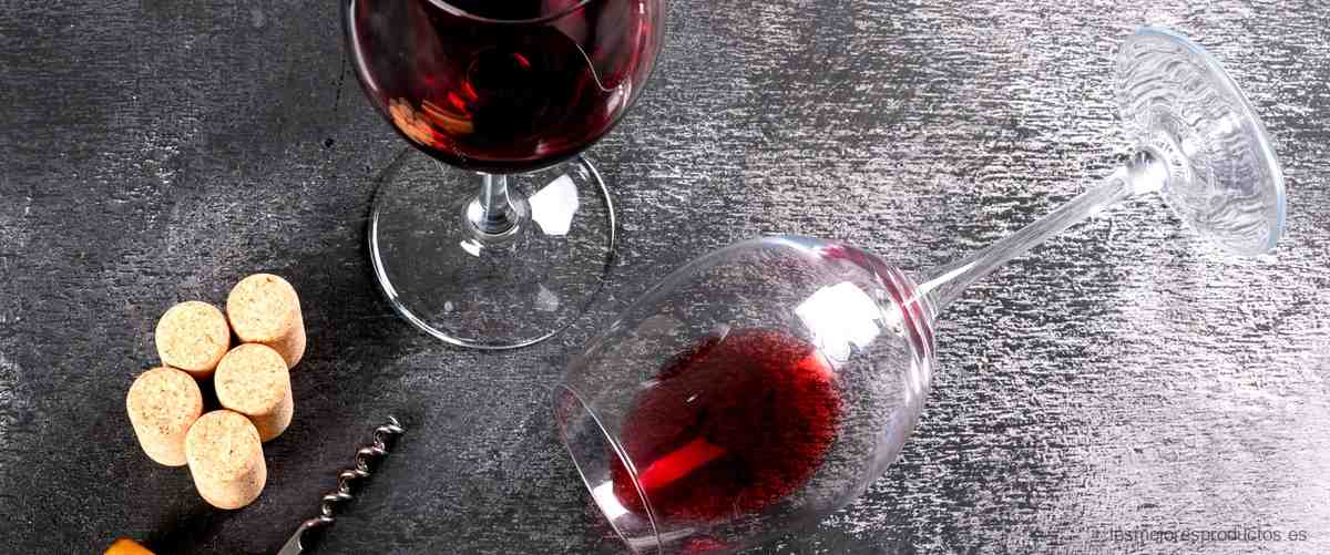 Sumérgete en los sabores únicos del vino Aviva Carrefour