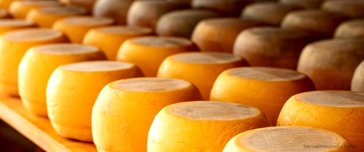 TGT: una empresa líder en la producción de quesos a precios irresistibles