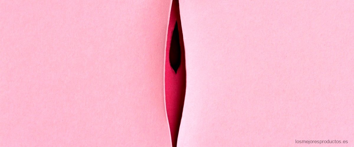 Vaginas artificiales: una opción realista para la intimidad