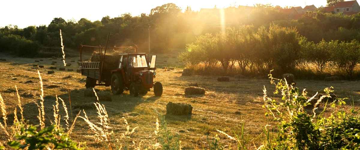 Ventajas de utilizar un tractor cortacésped en tu jardín de Galicia