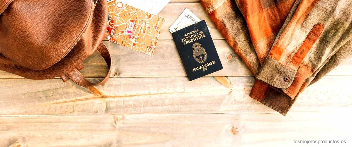 Viaja con tranquilidad gracias a la funda pasaporte de Carrefour
