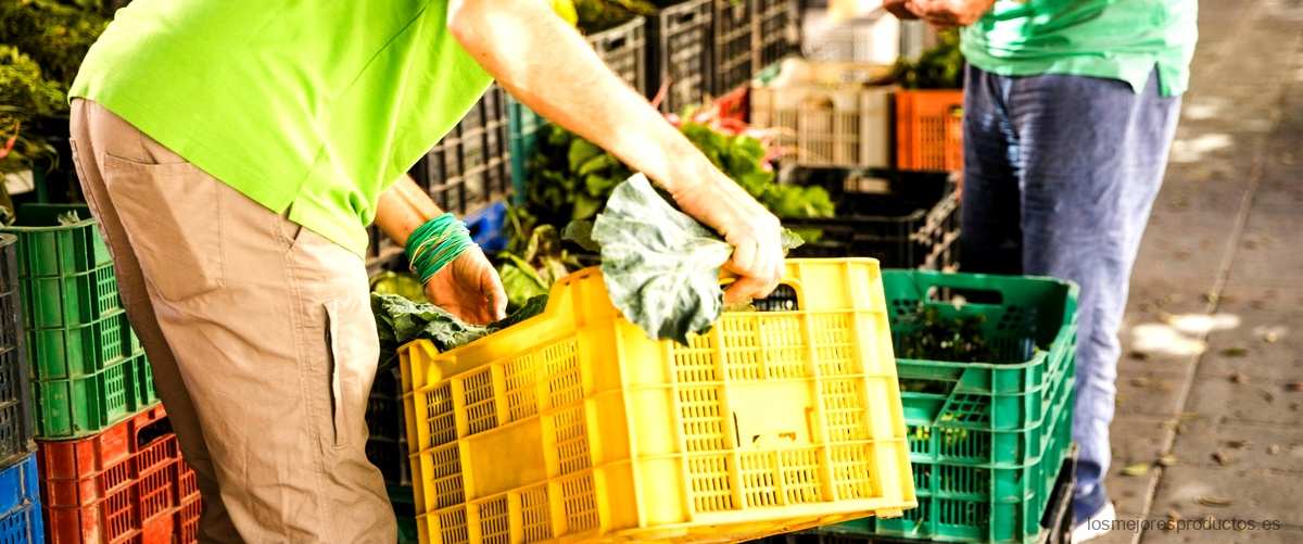 Vim Carrefour: la marca líder en productos de limpieza para el hogar en Carrefour