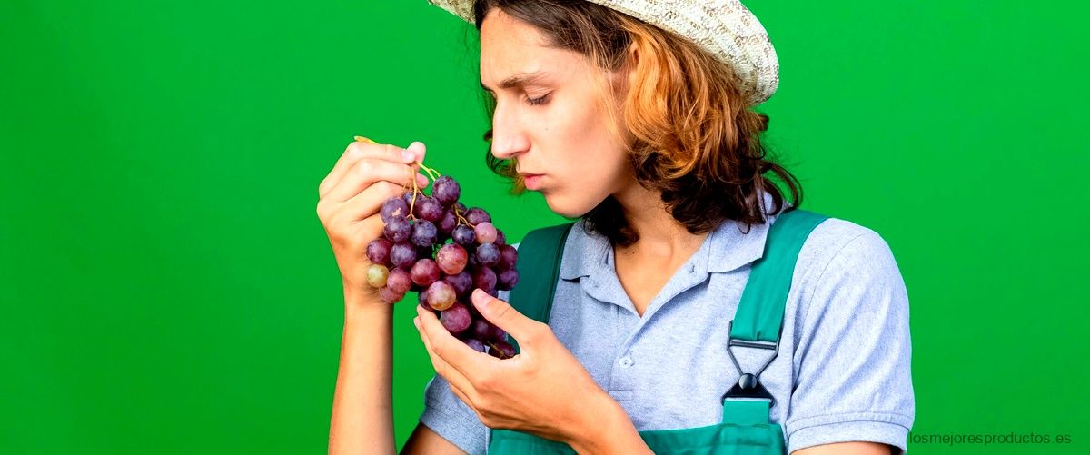 Viña Albali Crianza 2011: La elección perfecta para los amantes del buen vino