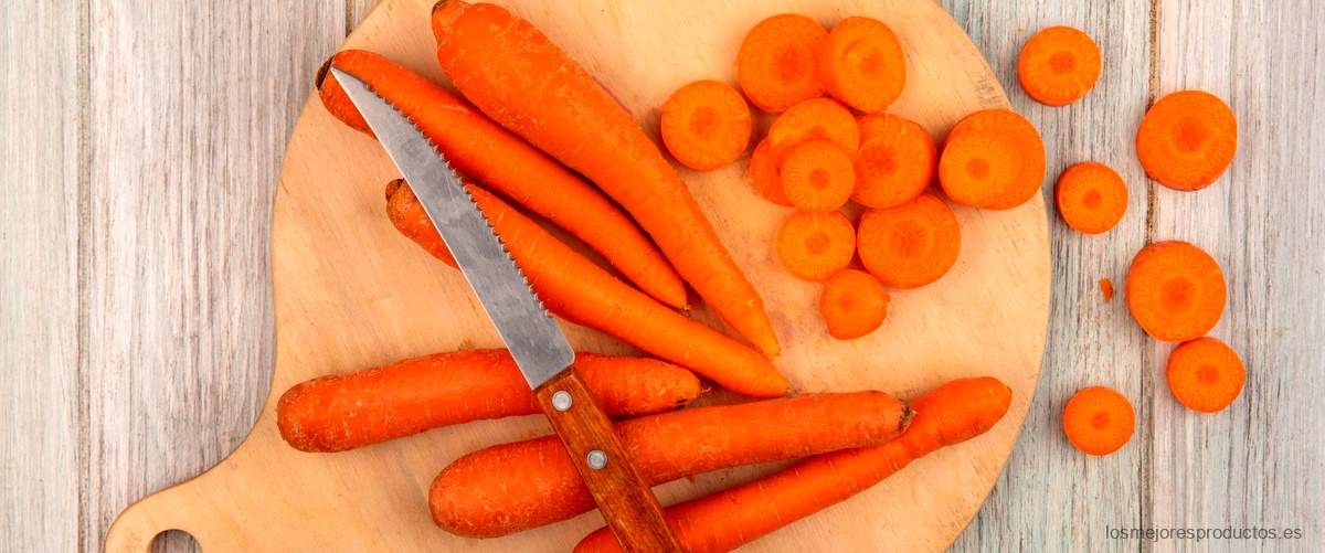 Zanahoria mercadona bote: la elección saludable para tus ensaladas