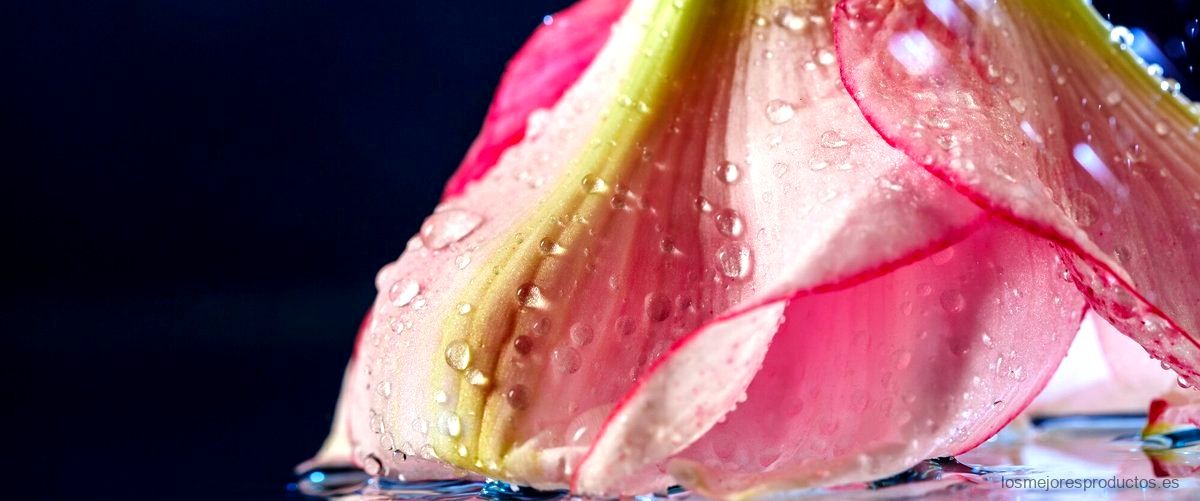 Agua fresca de rosas blancas Primor: una delicia aromática