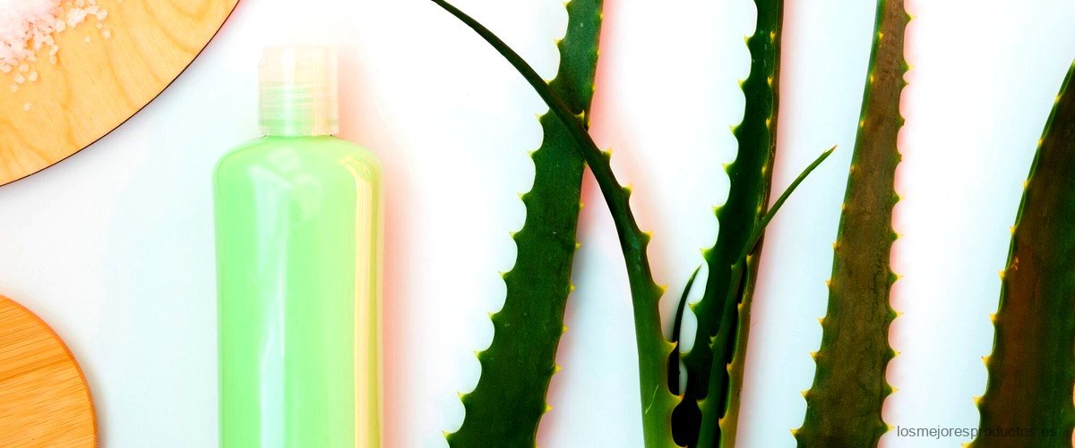 Aloe Vera Lidl: el poder de la naturaleza en tu piel - Guía de compra