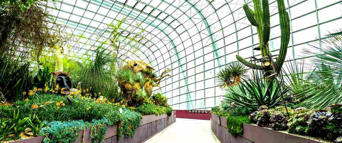Arcos invernadero Leroy Merlin: protección y calidad para tus plantas