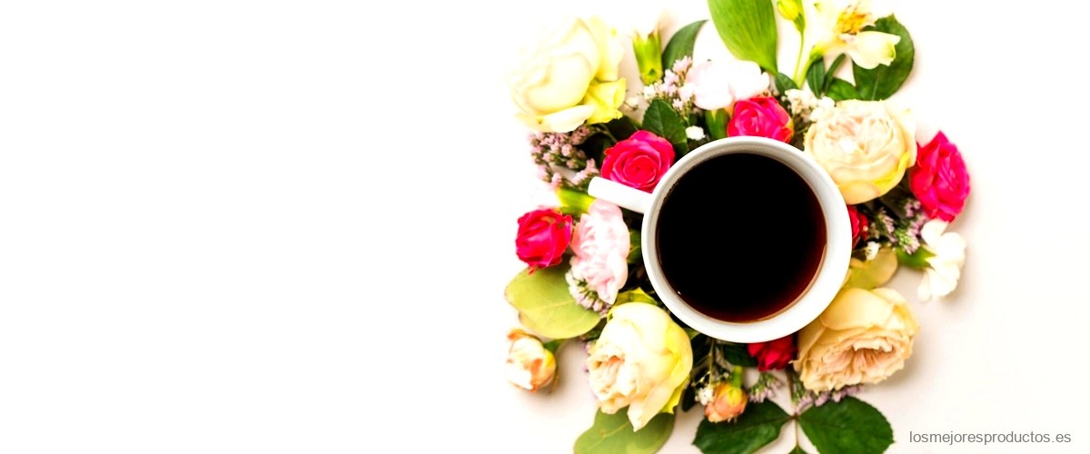 Beneficios del café ganoderma