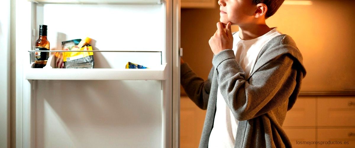 ¿Cómo eliminar el mal olor del refrigerador?