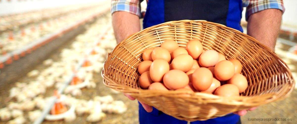 ¿Cómo se hacen los huevos de Mercadona?