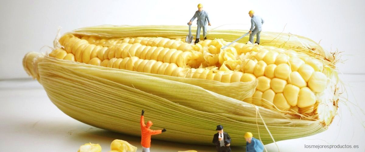 ¿Cómo se le conoce a la fécula de maíz?