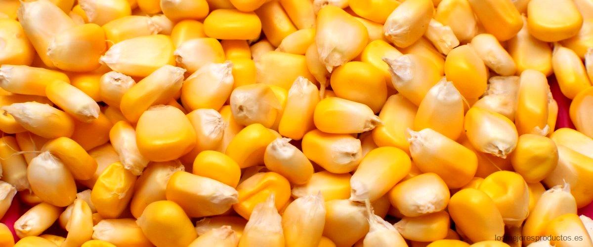 ¿Cómo se llama la fécula de maíz en España?