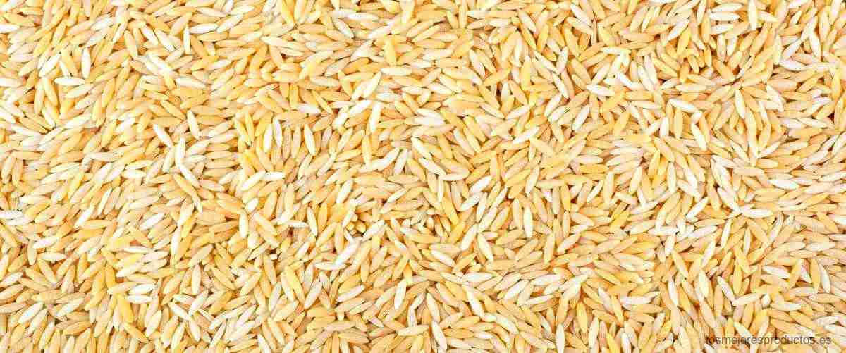 ¿Cuál es el mejor arroz para perder peso?