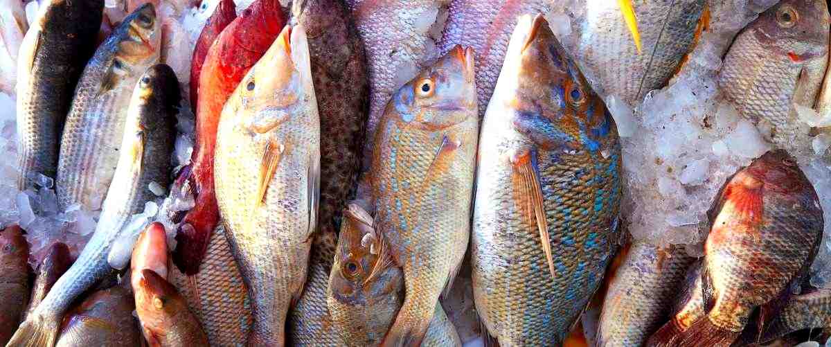 ¿Cuál es el mejor día para comprar pescado en Mercadona?