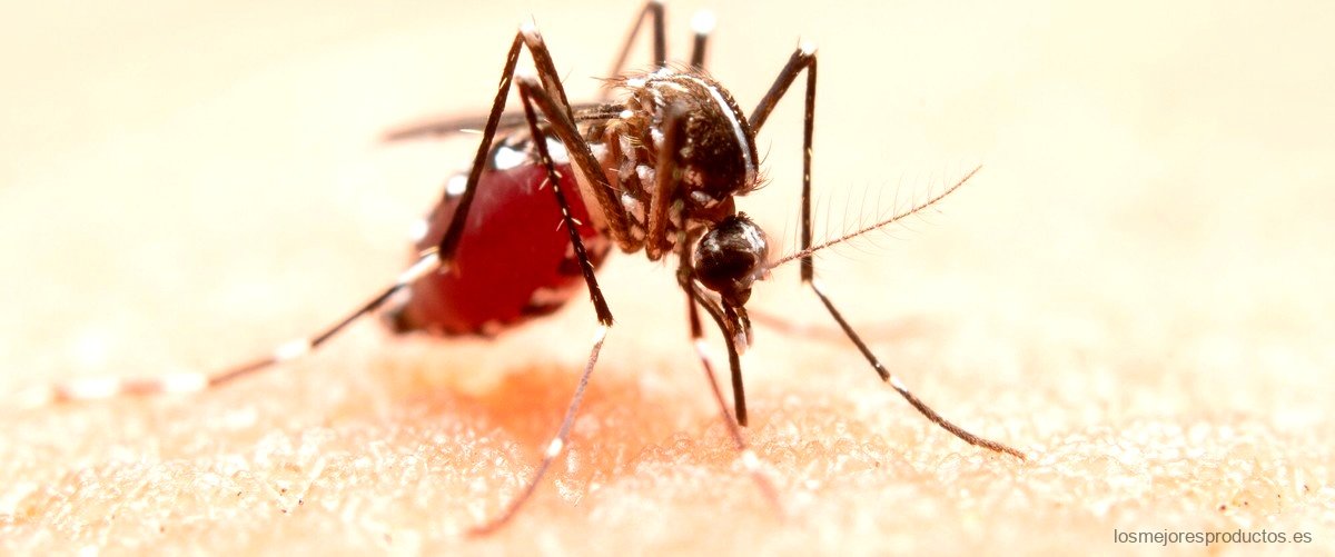 ¿Cuál es el mejor insecticida para los mosquitos?