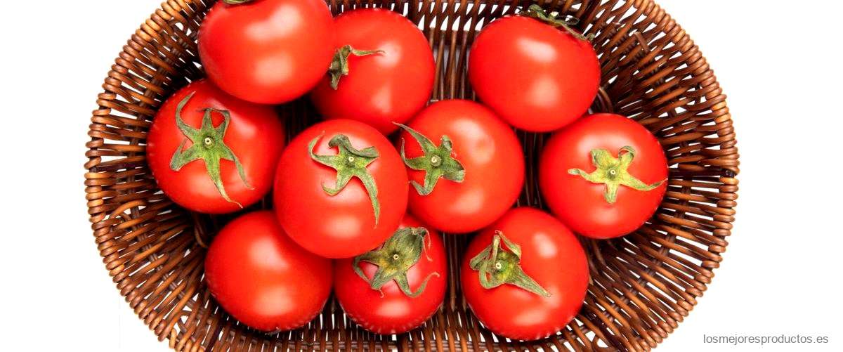 ¿Cuál es el mejor tomate para hacer salsa de tomate?