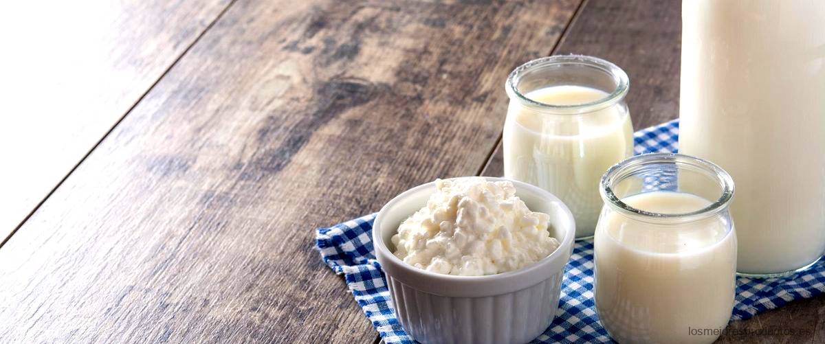 ¿Cuál es el mejor yogur de proteínas?