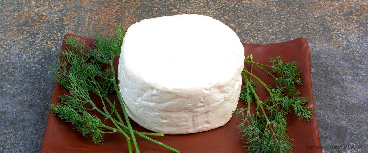 ¿Cuál es el queso cottage en España?