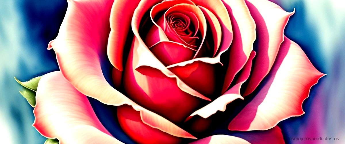 ¿Cuál es el significado de la rosa eterna?