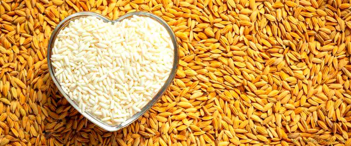 ¿Cuál es la diferencia entre el arroz y el arroz integral?
