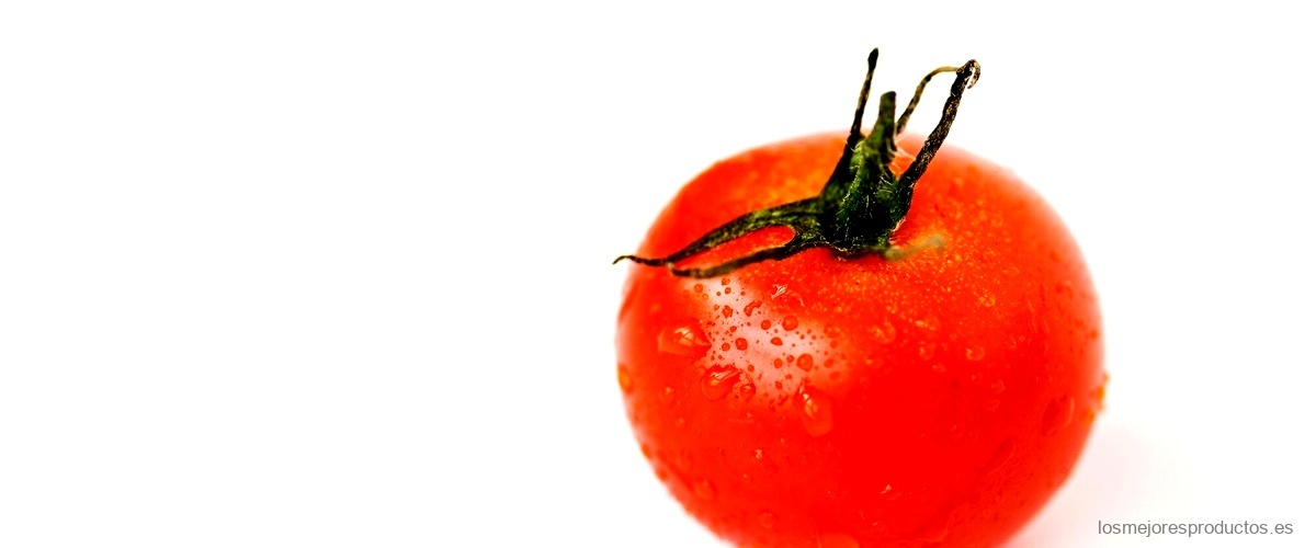¿Cuál es la diferencia entre el tomate frito y la salsa de tomate?