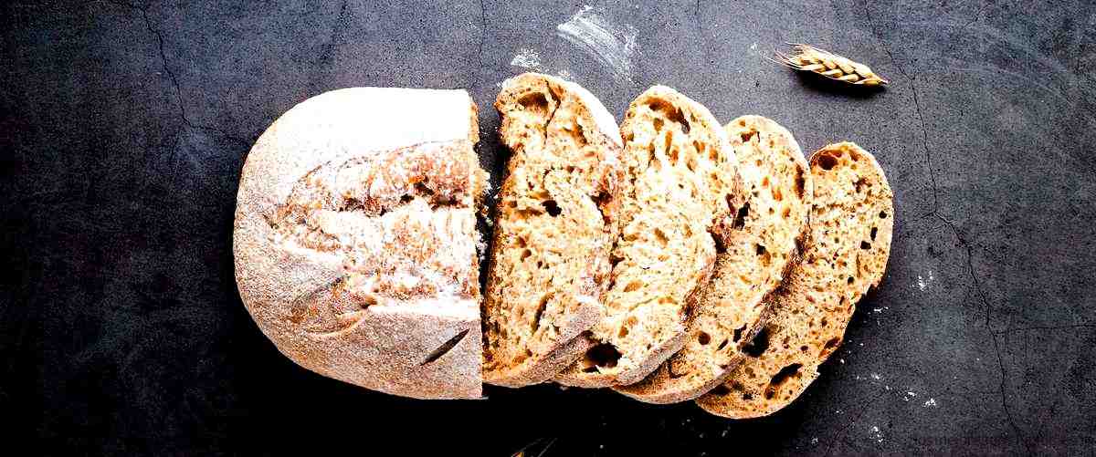 ¿Cuál es más saludable, el pan de centeno o el pan de trigo?
