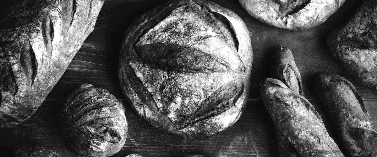 ¿Cuál es mejor, el pan de centeno o de trigo?