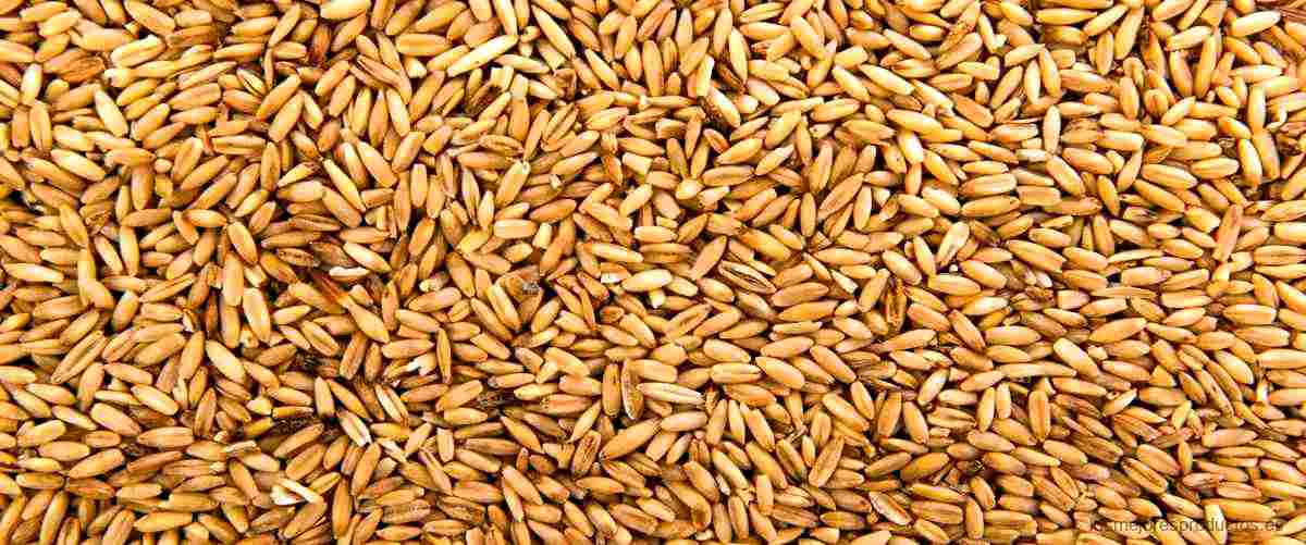 ¿Cuáles son las contraindicaciones del germen de trigo?