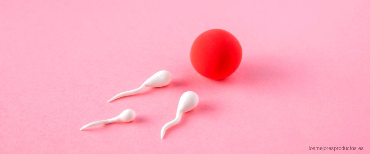 ¿Cuáles son las mejores marcas de copas menstruales?
