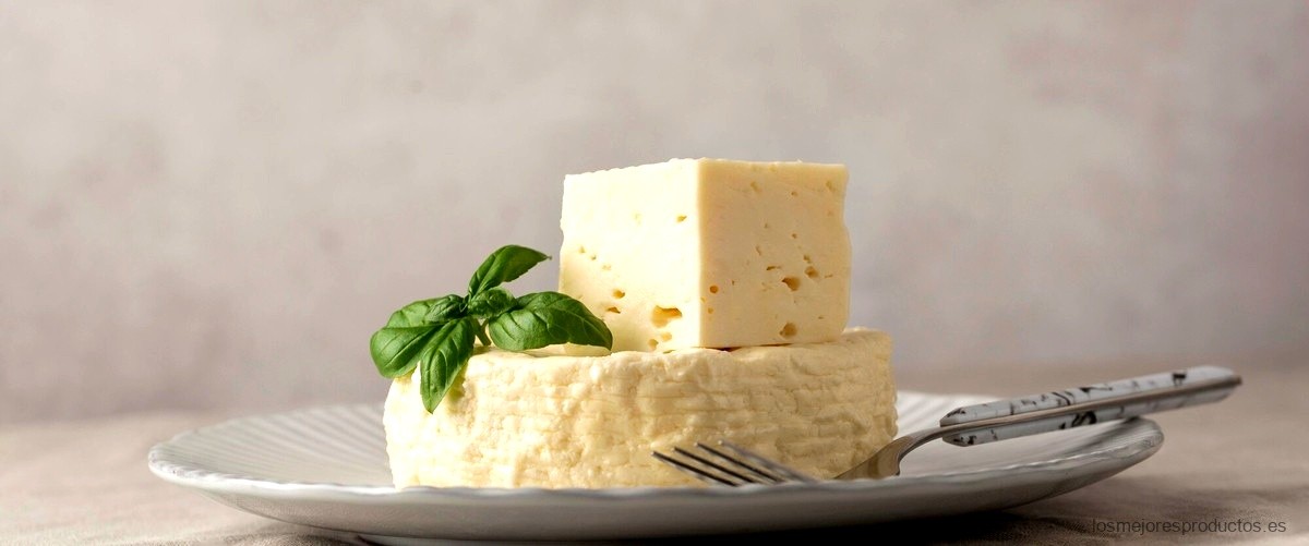 ¿Cuáles son las propiedades del queso fresco de Burgos?