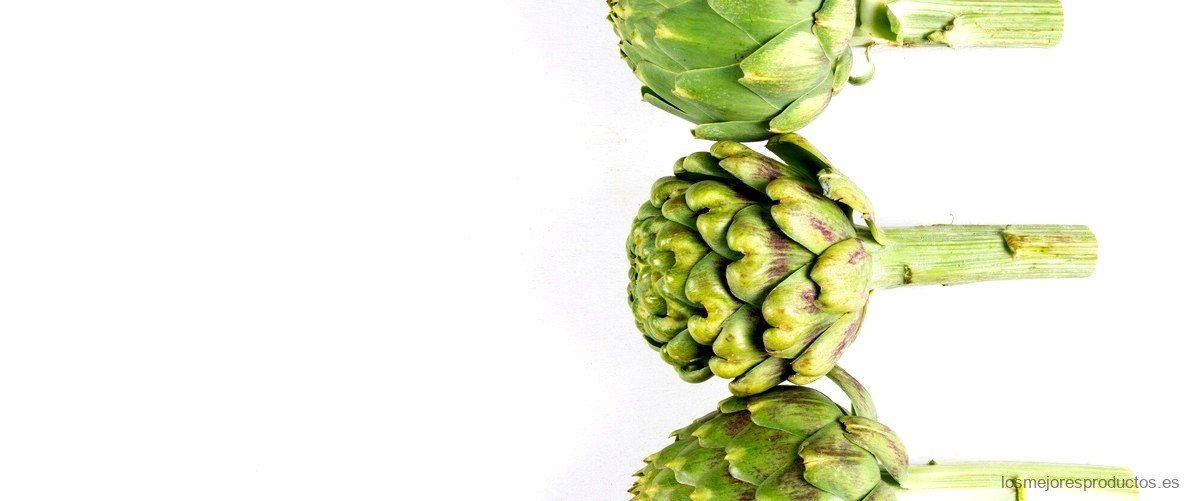 ¿Cuáles son los beneficios de la alcachofa para bajar de peso?