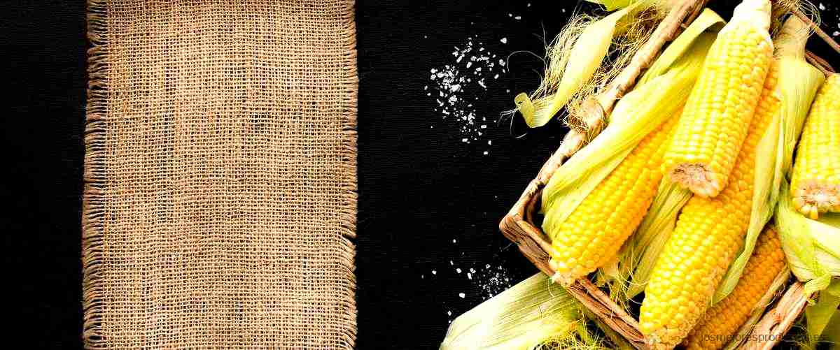 ¿Cuáles son los beneficios de la harina de maíz amarillo?