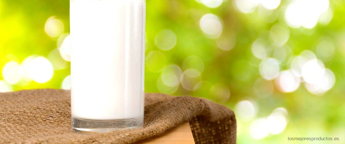 ¿Cuáles son los beneficios de la leche de soja?