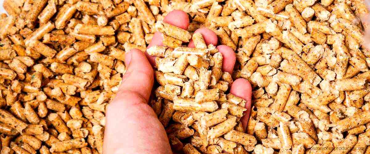 ¿Cuáles son los beneficios de tomar salvado de trigo?